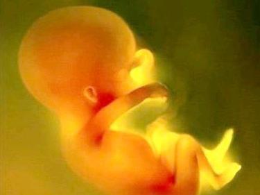 《黄帝内经》第三部:胎育智慧--胎孕如何进行